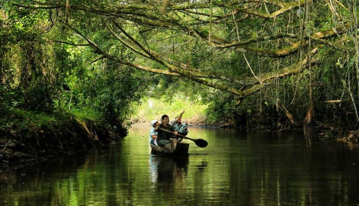 Perú es el "Destino verde líder de América del Sur 2017". (Foto: archivo)