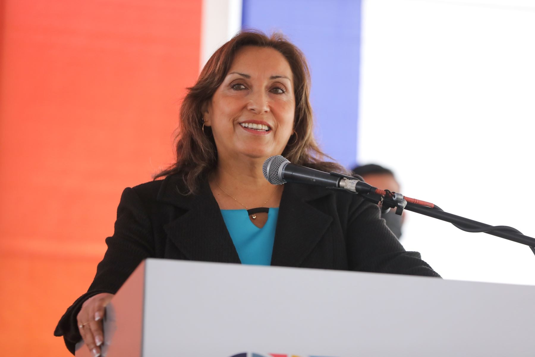 ¿Cuánto gana Dina Boluarte como presidenta del Perú? (Foto: Andina)