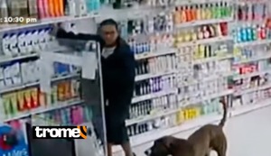 Independencia: PNP capturó a ladrón que robaba junto a su perro, alias ‘el Maldito Firulais’