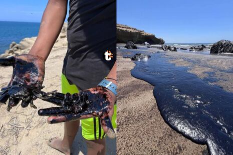 Derrame de petróleo en Lobitos: Al menos 10 mil m2 de mar, cuatro playas y cientos de criaturas marinas a...