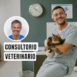 Día del Veterinario: desafíos y carga emocional en su labor