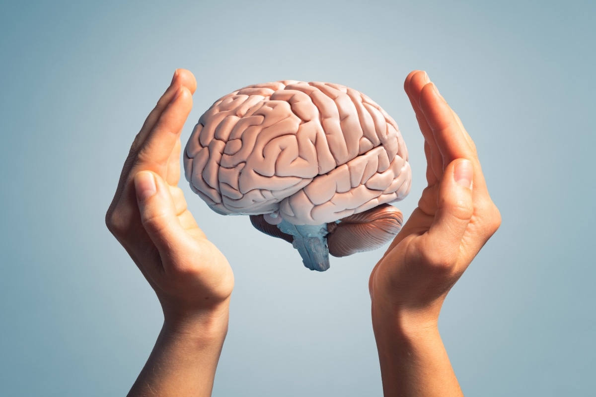 ¿Qué es y para qué sirve la materia gris del cerebro? Foto: Istock.