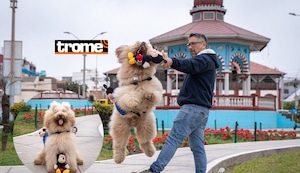 Apu: El Goldendoodle que enamoró a una gran comunidad de seguidores de España, México y otros países