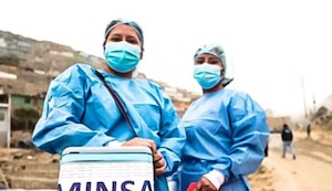Burros ejercen la medicina