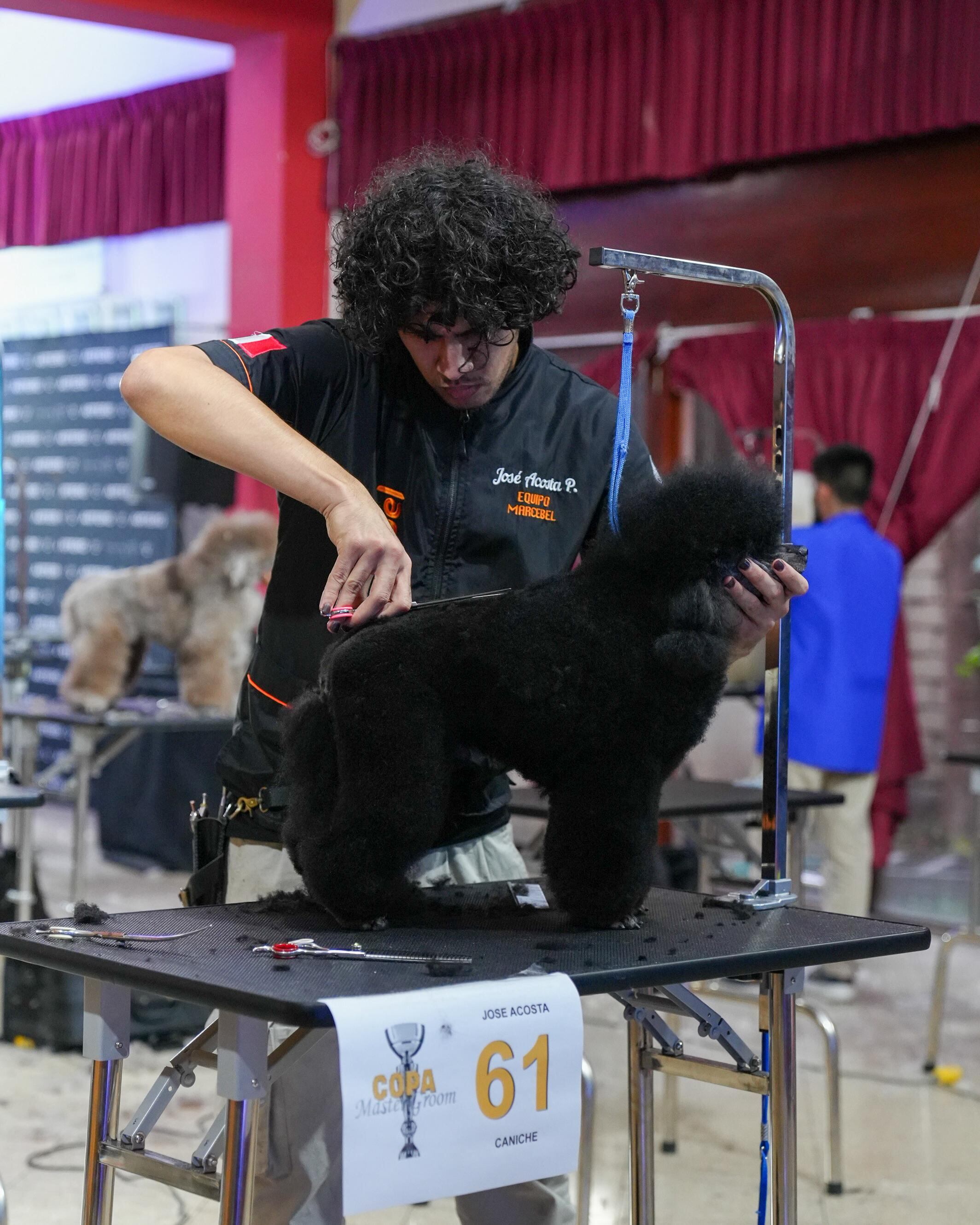 José cortándole el pelo al pequeño Oliver.
