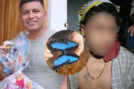 ¡Traición mortal en la selva! Sobrino sería el cerebro del crimen del ‘Rey de las Mariposas’ en Tingo Mar...