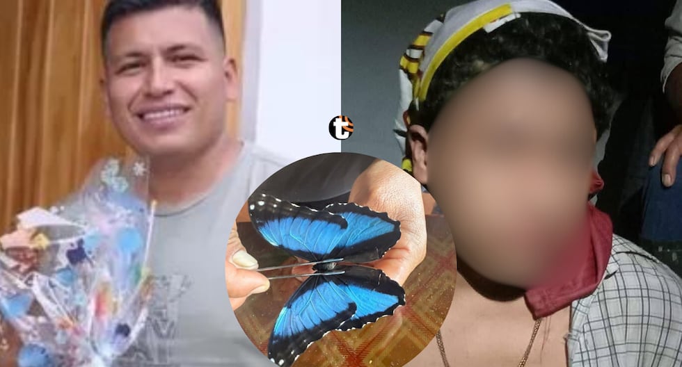 ‘Rey de las Mariposas’ Asesinado: Traición Familiar Revelada