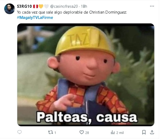 No pararás de reir con los memes de las declaraciones de Pamela López sobre lo que le contó Christian Domínguez en MagalyTv. (Twitter)