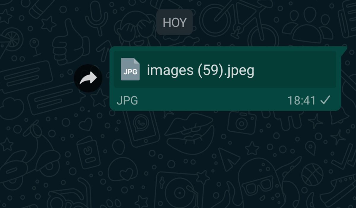 De esta forma nadie verá la foto que envías hasta que la descarguen. (Foto: WhatsApp)
