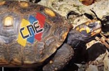 La operación Morrocoy en Historias Nunca Contadas