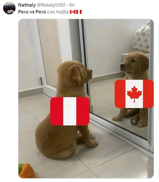 Memes del Perú vs. Canadá