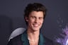 Shawn Mendes reveló el singular bronceado que ganó durante sus vacaciones en México