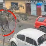 Cercado de Lima: Desquiciado sujeto golpea brutalmente a menor de 15 años cuando iba al colegio