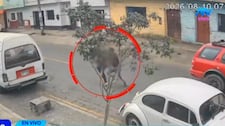 Cercado de Lima: Sujeto ataca a adolescente de 15 años cuando iba al colegio