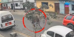 Cercado de Lima: Sujeto ataca a adolescente de 15 años cuando iba al colegio
