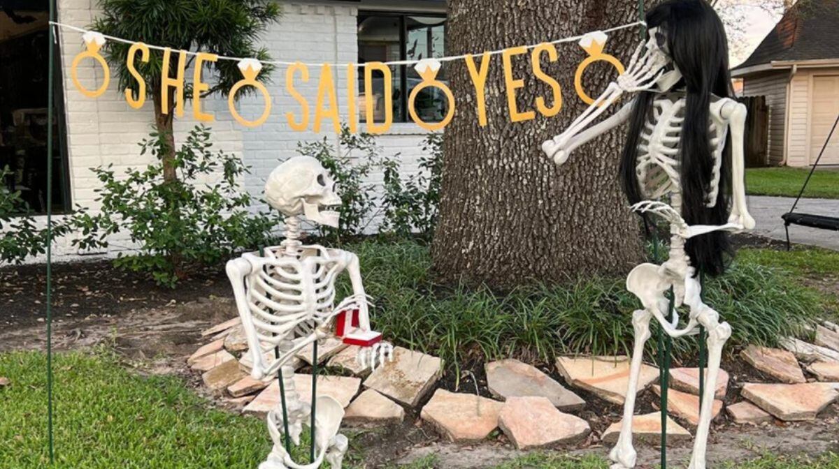 Mr. Bones le propuso matrimonio a Miss Stella Tahn. (Foto: @kellymenning / Instagram)