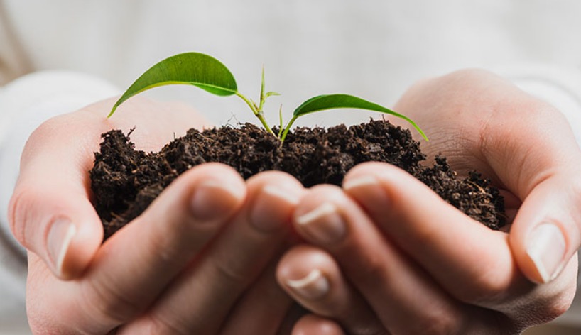 Hay que parar esto, dejemos a nuestros hijos y nietos un mundo mejor, hermoso y amigable.