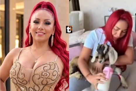 ¡Deysi Araujo tiene nueva ‘mascota pituca’! Adopta cabrita y la cría en ‘depa’ de San Isidro