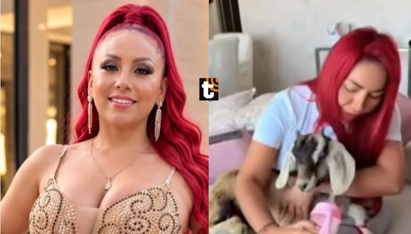 TROME - ¡Deysi Araujo tiene nueva mascota! Adopta cabrita y la cría junto a sus cuyes en ‘depa’ de San Isidro