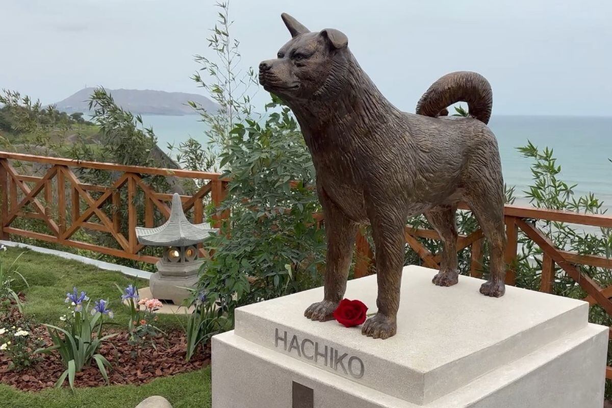 Hachiko en Miraflores: inauguran parque Shibuya con estatua del famoso perro japonés que esperó a su dueño