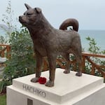 Hachiko en Miraflores: inauguran parque Shibuya con estatua del famoso perro japonés que esperó a su dueño