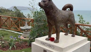 Hachiko en Miraflores: inauguran parque Shibuya con estatua del famoso perro japonés que esperó a su dueño