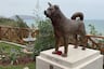 Hachiko en Miraflores: inauguran parque Shibuya con estatua del famoso perro japonés que esperó a su dueño
