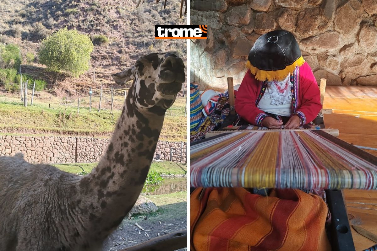 Son muchas las señoras tejedoras que viven de esta actividad y que se han visto afectadas por la pandemia y los paros. Buscan reactivarse con el turismo. Foto: Katty Gines.