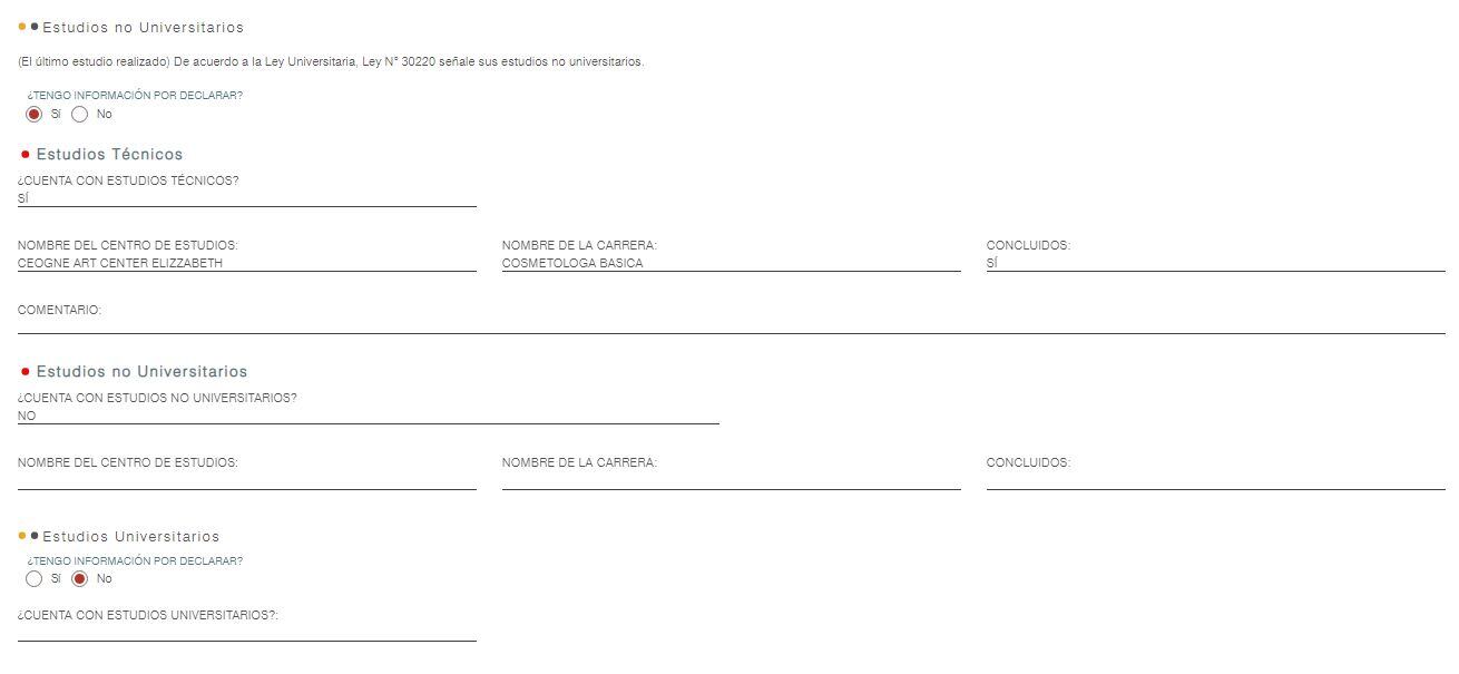 Estos son los datos que colocó Nelcy Lidia Heidinger Ballesteros en la Plataforma Electoral del JNE. (Foto: Captura)