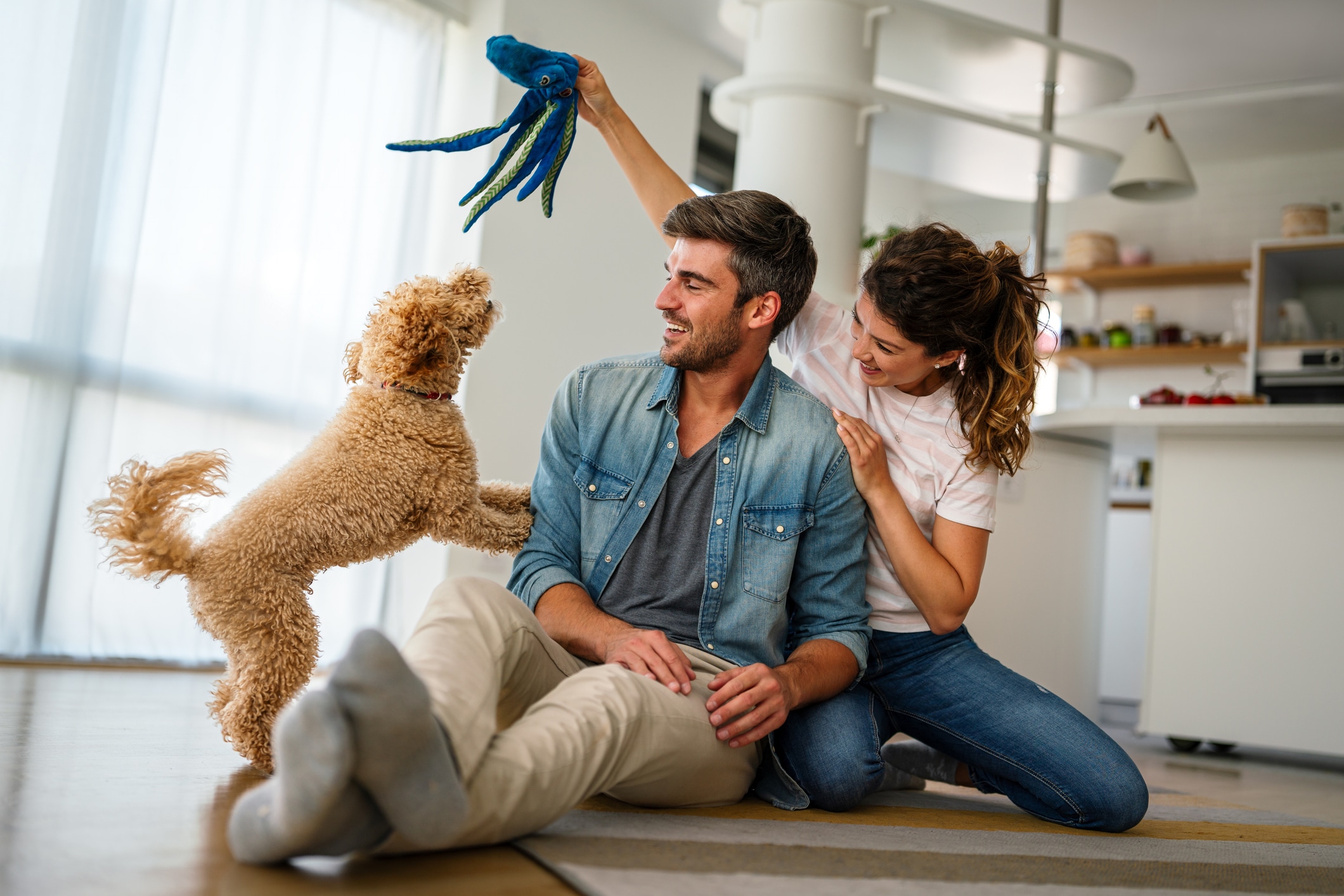La socialización debe comenzar entre las 3 y 12 semanas de vida. El cachorro debe tener las vacunas al día según su edad y en un entorno seguro para garantizar experiencias positivas. Foto: Istock