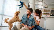 La importancia de enseñarle a tu perro a socializar desde cachorro