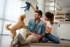 La importancia de enseñarle a tu perro a socializar desde cachorro