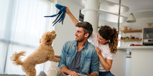 La socialización debe comenzar entre las 3 y 12 semanas de vida. El cachorro debe tener las vacunas al día según su edad y en un entorno seguro para garantizar experiencias positivas. Foto: Istock
