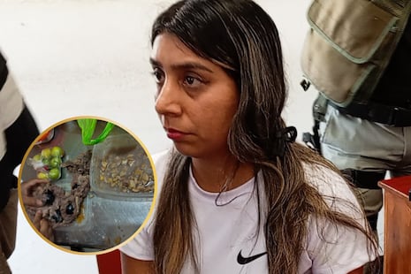 De película: Mujeres intentan meter droga en guiso y microchips en billetera al penal