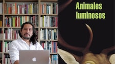 ‘Animales luminosos’ de Jeremías Gamboa