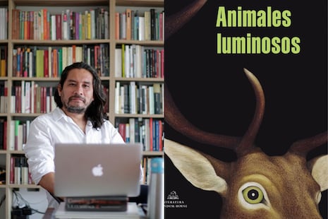 ‘Animales luminosos’ de Jeremías Gamboa