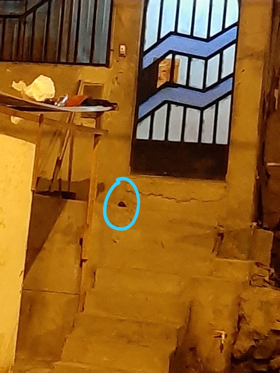 La prestamista de dinero, Milagros Conde Cribilleros (40) denunció que la mafia del ‘Loco Aroni’ arrojó una granada en su vivienda en venganza porque se negó a pagar 25 mil soles de una extorsión.