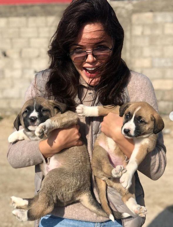 Hilal posando junto a los perros que llegaron al set de “Züleyha” (Foto: Hilal Altinbilek / Instagram)