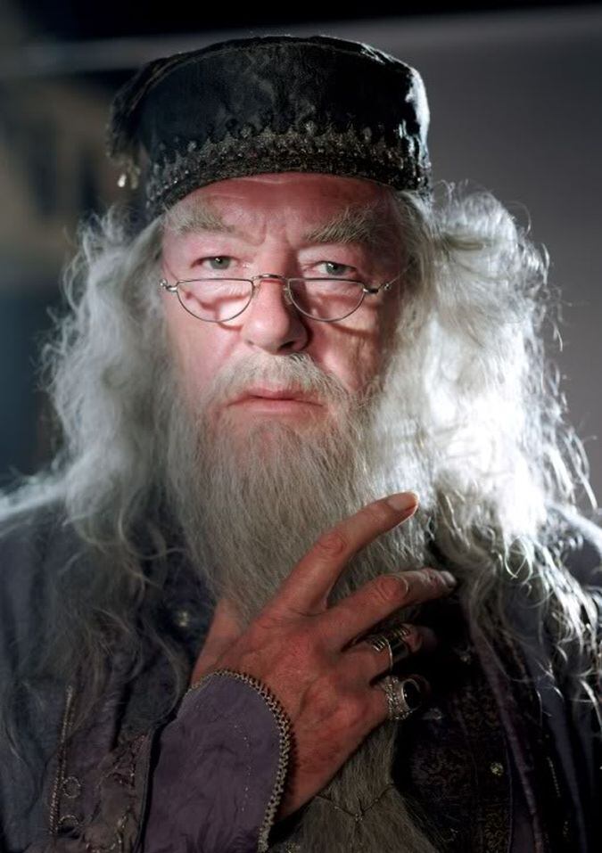 Albus Percival Wulfric Brian Dumbledore es un personaje de la saga de Harry Potter, creado por la escritora británica J. K. Rowling (Foto: Warner Bros.)