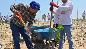 Distrito de Ventanilla se suma a la lucha por el medio ambiente con la creación de un bosque urbano
