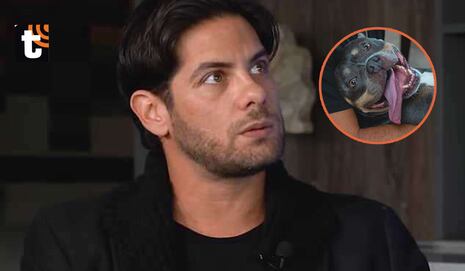 Andrés Wiese preocupado al revelar que su perrita ‘Menta’ padece cáncer: “Tengo mucho miedo”