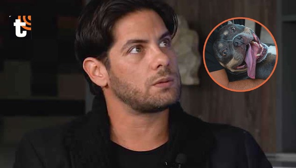Andrés Wiese preocupado por salud de su mascota
