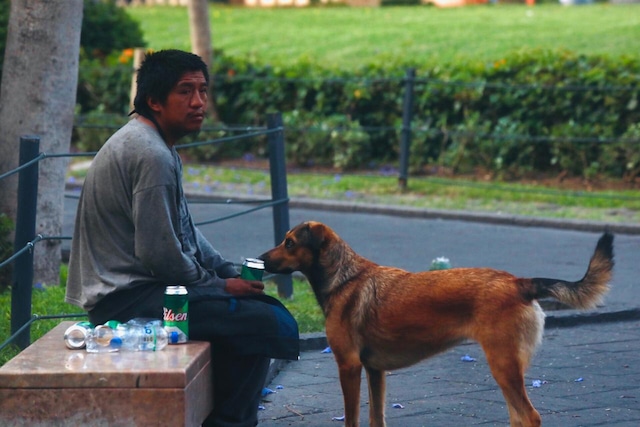 Amanecer en las calles de Lima después de los festejos por Año Nuevo.
Foto: César Grados/@photo.gec