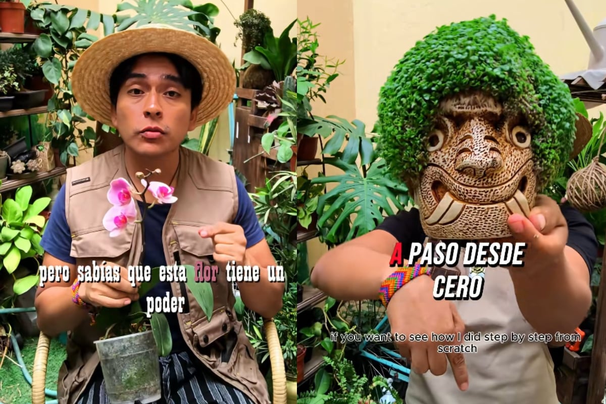 Encuéntralo en TikTok como: @elchicodelasplantas