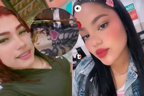 ¡Misterio y sangre en la carretera! ¿Quién era la joven venezolana hallada sin vida en la Panamericana No...