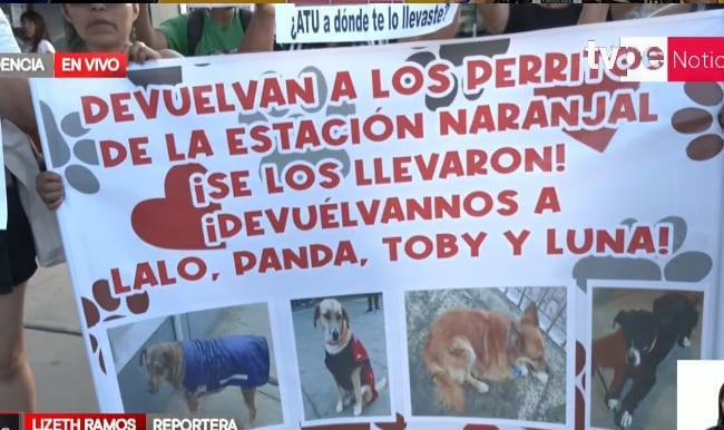 Miembros de asociación piden el regreso de cuatro canes a la Estación Naranjal. (Tv Perú)