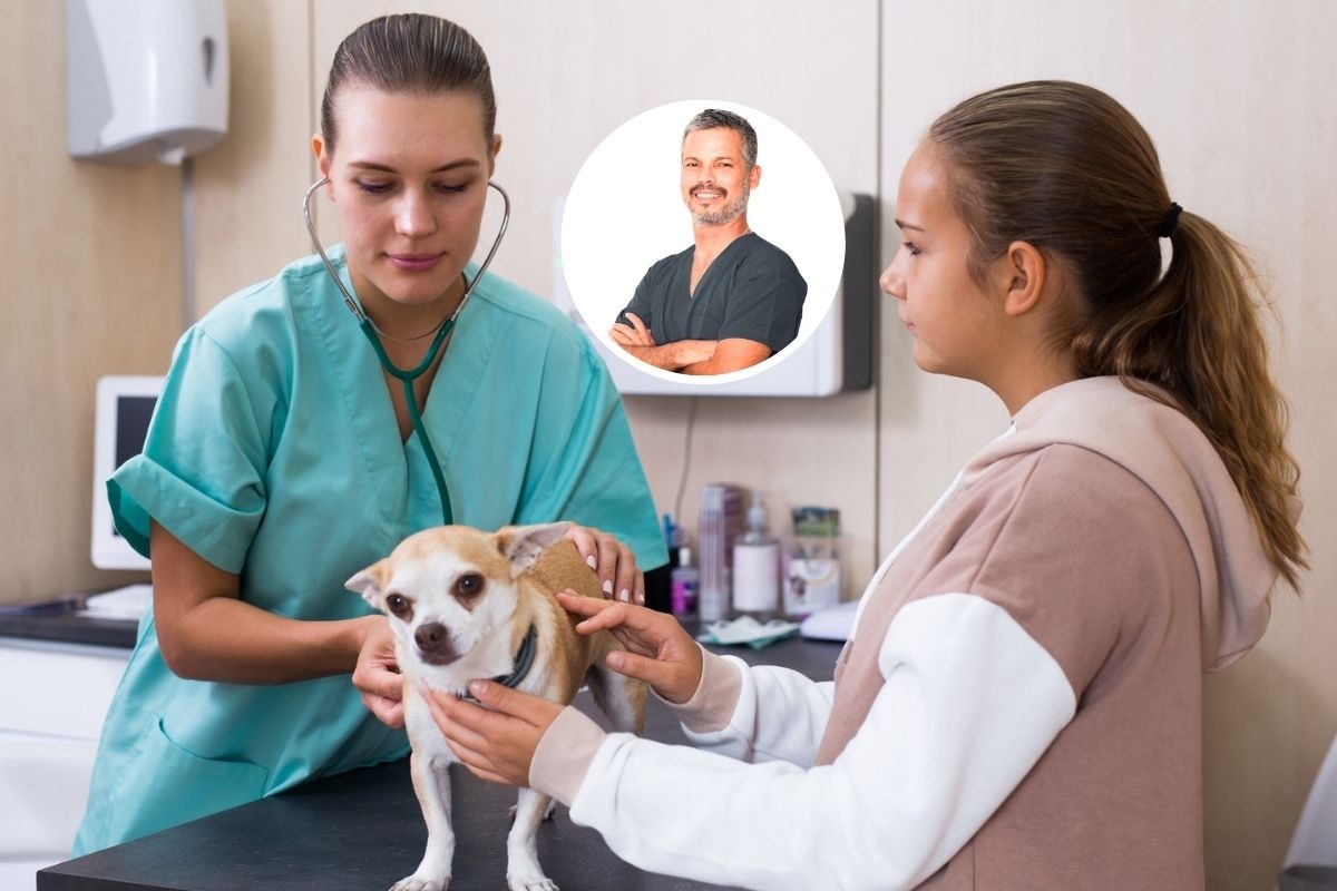 La mascota es parte de la familia. Foto: Composición / iStock.