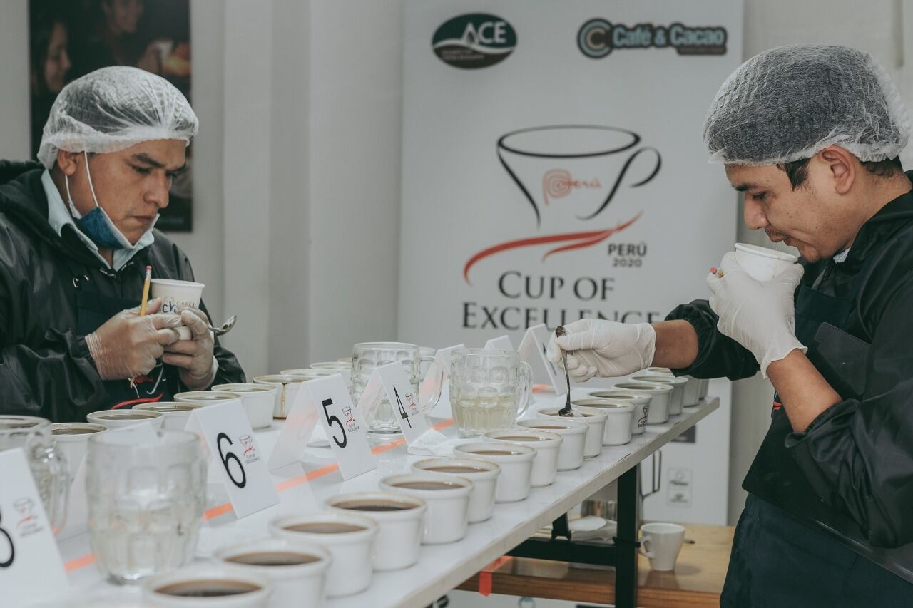 Catadores en plena evaluación de muestras. (Captura de Facebook)