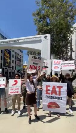 La ex integrante de 'Zoey 101' también protestó contra Sony (Foto: Alexa Nikolas / Instagram)