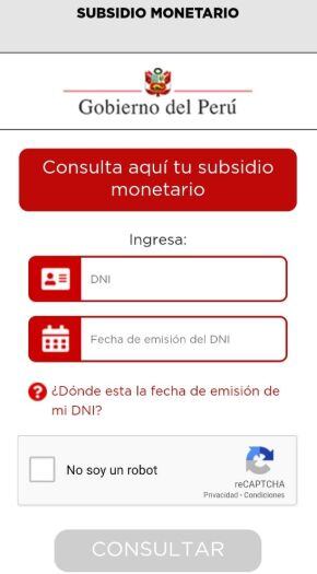 Consulta tu subsidio monetario